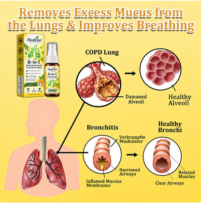 🫁✅🐝🇦🇺 Official Store:Healrize® 6-in-1 Herbal BeePropolis Lung Cleanse Spray（👨‍⚕️Directly acts on COPD, asthma, chronic bronchitis (CB), respiratory infections, lung cancer, sinusitis, and other conditions🫁)