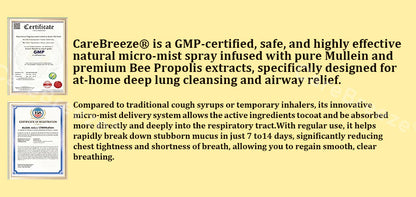 🫁✅🐝🇦🇺 Official Store:Healrize® 6-in-1 Herbal BeePropolis Lung Cleanse Spray（👨‍⚕️Directly acts on COPD, asthma, chronic bronchitis (CB), respiratory infections, lung cancer, sinusitis, and other conditions🫁)
